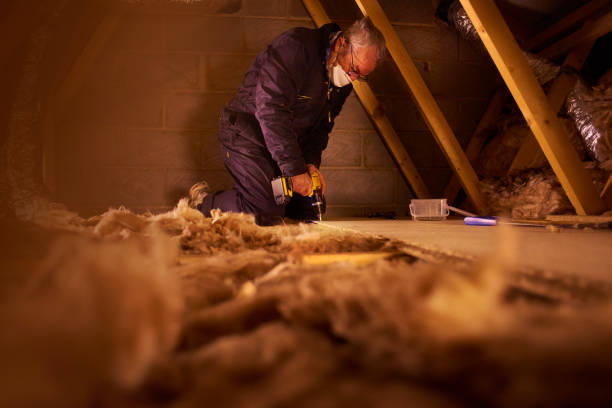 Best Cellulose Insulation in Medford, NY